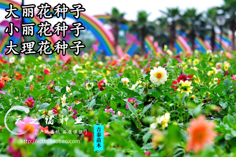 华体会体育hth官方网站_拆污染厂棚、整顿木材市场!新形势下南康家具工人怎样了(图1) hth官网入口