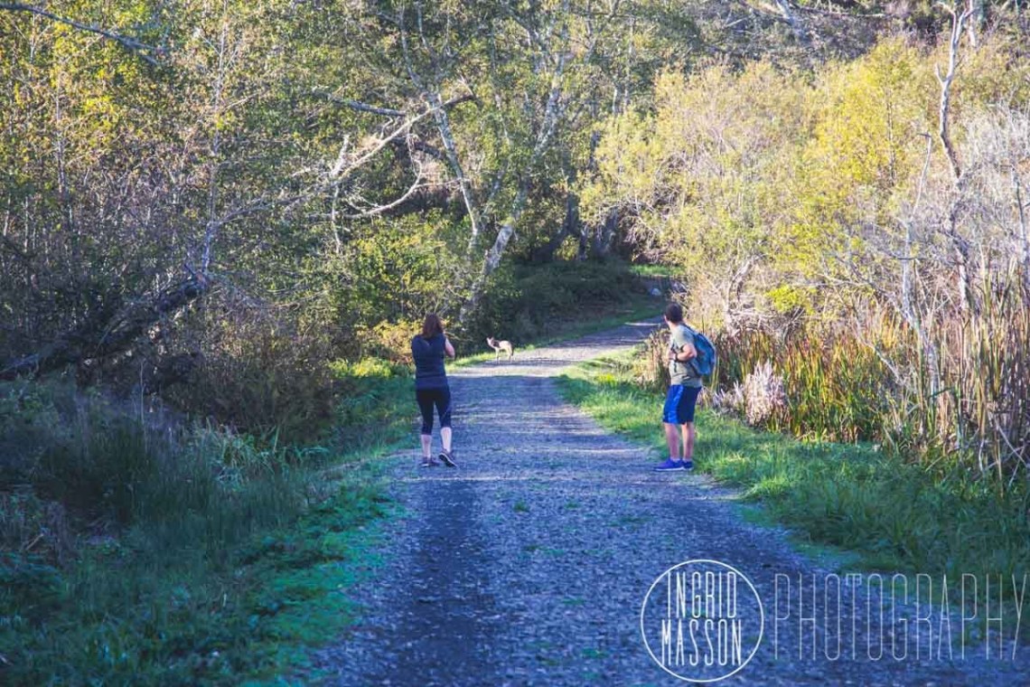 华体会体育hth官方网站