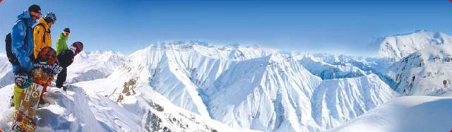 ‘hth官网入口’原木点评:交趾黄檀有涨无跌菠萝格古建市场大放光彩(图2) hth官网入口