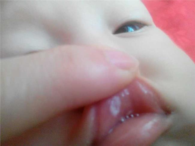 华体会体育hth官方网站