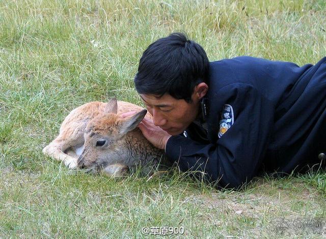 建业史上十大绝杀:卡兰加灭天海进三甲 前两名令人垂泪【hth官网入口】(图1) 华体会体育hth官方网站