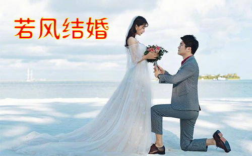 广东地区针叶材走货加快工厂加班频繁-华体会体育hth官方网站(图2) 华体会体育hth官方网站