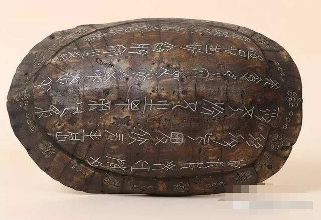 华体会体育hth官方网站