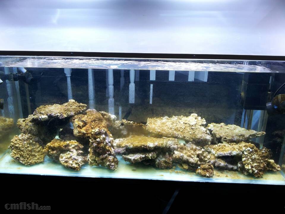 华体会体育hth官方网站