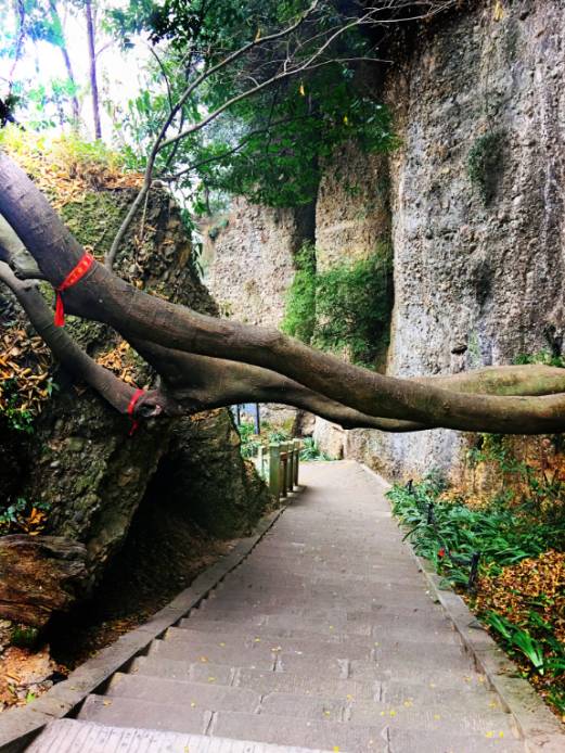 华体会体育hth官方网站