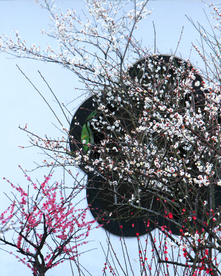 华体会体育hth官方网站