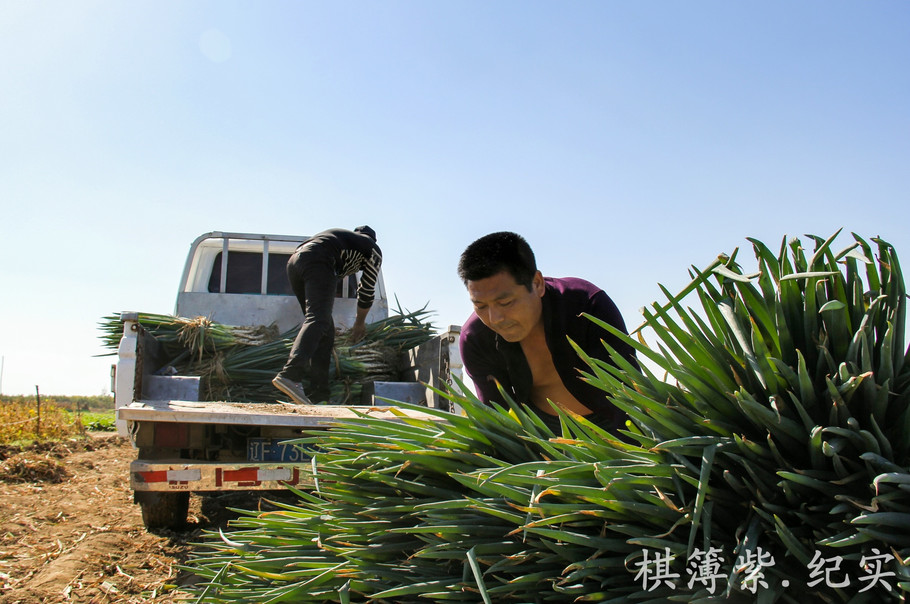 北京家具展:人造板行业“蜕变”-hth官网入口(图2) 华体会体育hth官方网站