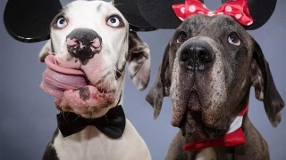 华体会体育hth官方网站