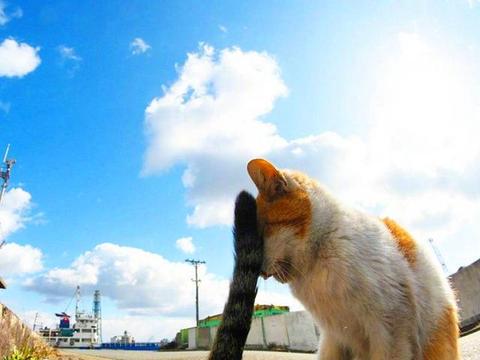 华体会体育hth官方网站