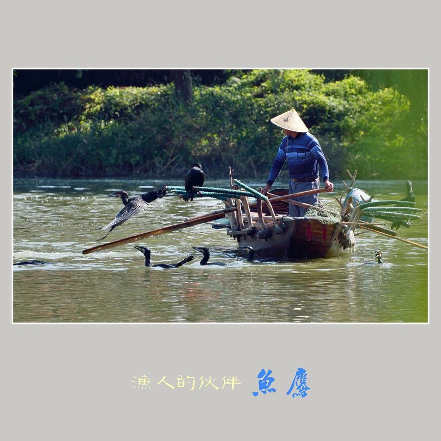 华体会体育hth官方网站