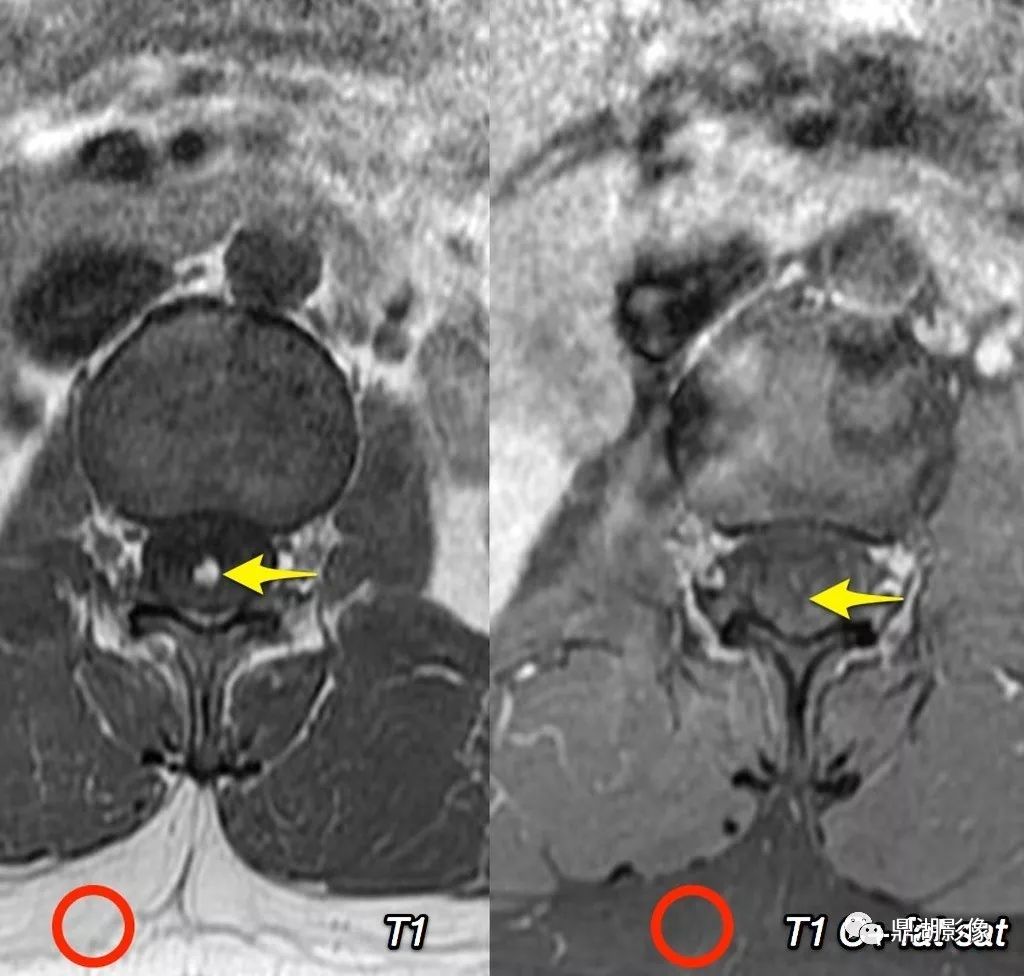 华体会体育hth官方网站