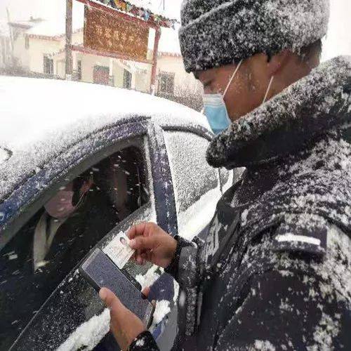 北美SPF行情依旧较好 南美铁木豆销量连续下滑-华体会体育hth官方网站(图3) hth官网入口