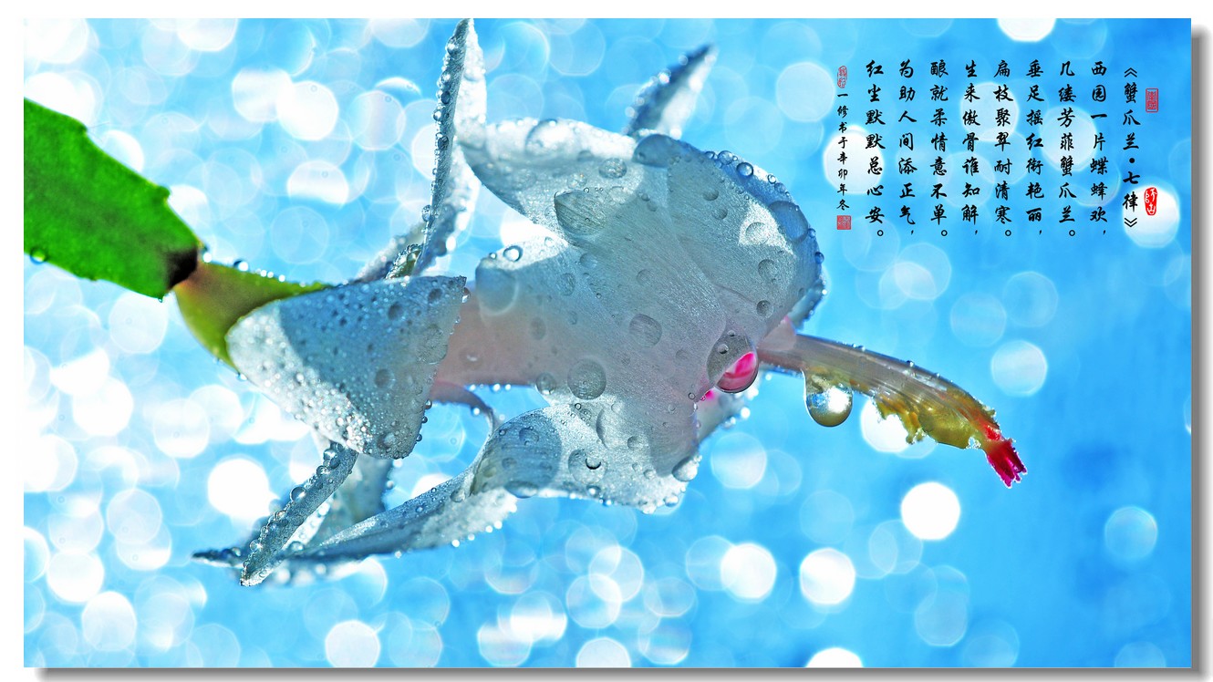 华体会体育hth官方网站-2010年我国林产品进出口情况分析(图1) 华体会体育hth官方网站