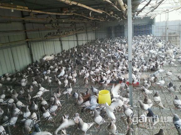 华体会体育hth官方网站