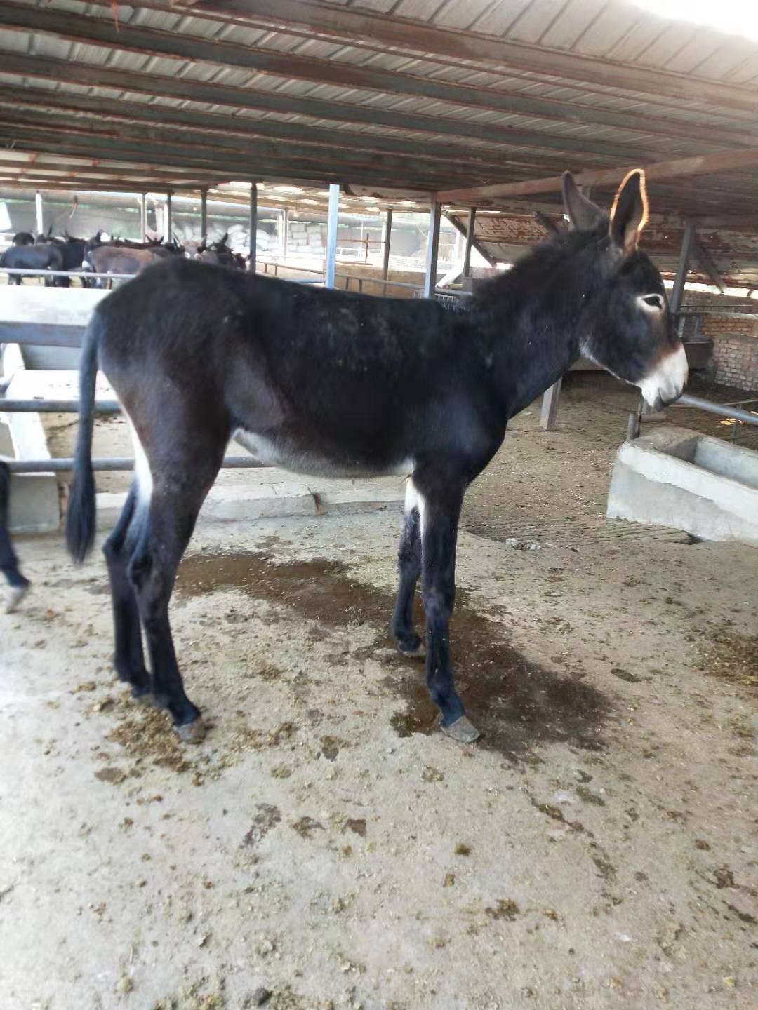 华体会体育hth官方网站